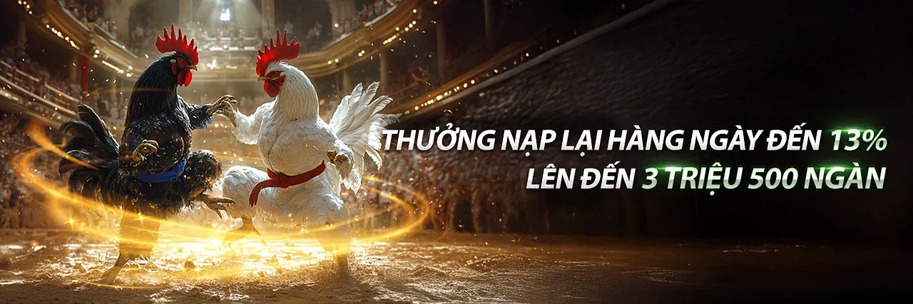Đấu gà kịch tính tại 92lottery nổ hũ