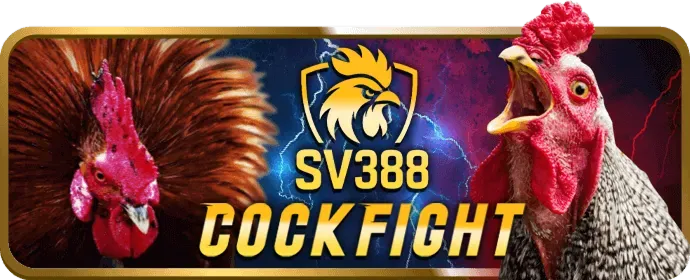 Các môn thể thao khác như MMA và boxing